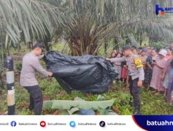 Diduga Alami Kecelakaan Tunggal, Pria di Mukomuko Ditemukan Tak Bernyawa di Pinggir Jalan Lintas Sumatera